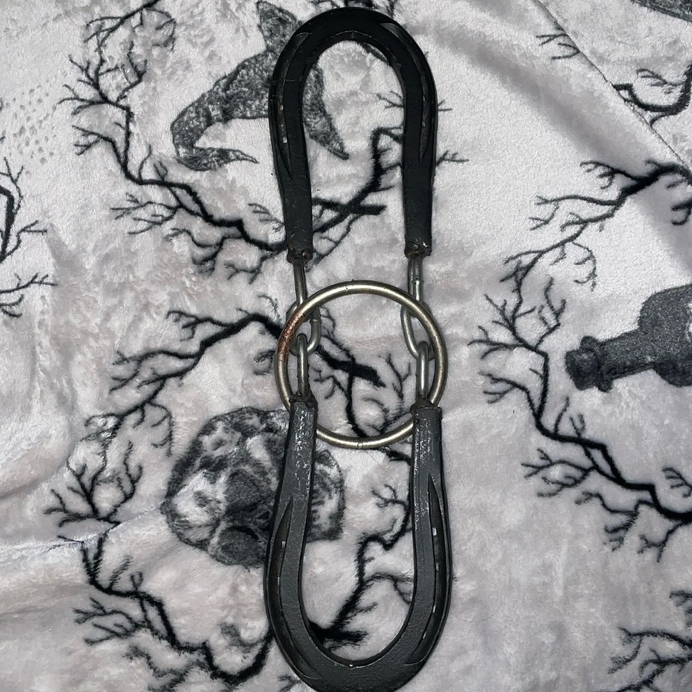Horseshoe Brain Teaser Game